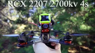 RCX 2207 2700kv