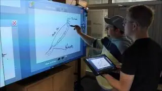 Collaborative Sketching with Distributed Displays and Multimodal Interfaces