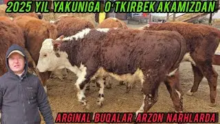 YIL YAKUNIGA OʻTKIRBEK AKADAN🔥 BOMBA NARHLARDA AJOYIB BUQALAR✅️