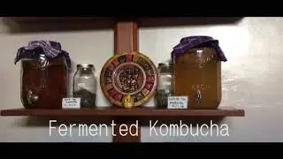 Raw Food cafe and yoga in ubud bali indonesia (The seeds of life cafe)