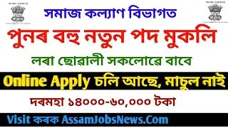 Assam Social Welfare Department Recruitment 2019// Qualification HS Pass, Male Female Online Apply