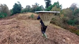 this is a Himalayan nomadic shepherd life || shepherd life of Nepal || pastoral life of Nepal ||