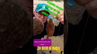 Brill-iant session at caister on sea. New species #fishing #youtubeshorts #nature #beach #fish #bass