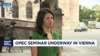 Saudi Arabia and OPEC+ 