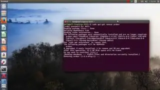 How to uninstall remove app in ubuntu/Linux with terminal {2017}