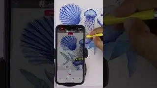 Shrimp 🦐 🍤 drawing easy step by step tutorial for beginners using ARdrawing app #draw #drawing
