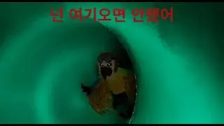 호기심의 최후