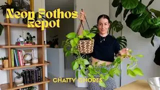 Neon Pothos | Epipremnum aureum 'Neon' Repot & plant | How to Water Propagate Pothos Plant Guide