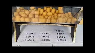 Финал Бошланди Доллар Уйини Хаммага Омад