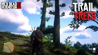 Red Dead Redemption 2 Easter Egg - Trail Trees Locations