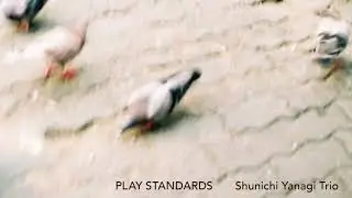 Shunichi Yanagi Trio / Play Standards
