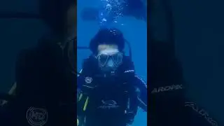 The Silent World Below #diving #sea #adventure #water