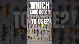 What color lure to use #lurefishing