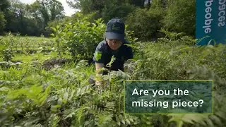 Volunteer for your local natural environment