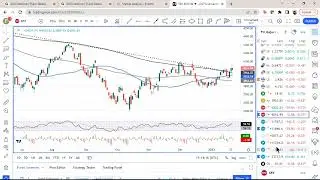 Expert Market Analysis Webinar (English)