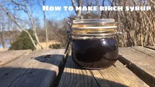 How to make birch syrup