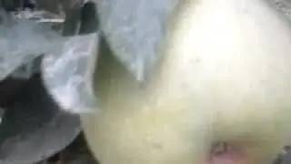 20170929 175651