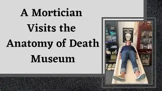 A Mortician Visits The Anatomy of Death Museum