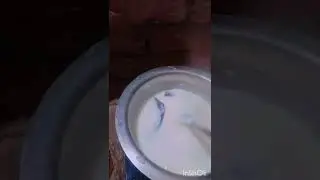 चावल की परम्परागत खीर। Rice Kheer Recipe I Chawal Ki Kheerl Rice Payasam Recipe I Traditional Recipe