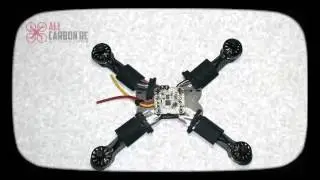 (All Carbon RC)  The Coyote Stop Motion Build