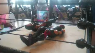 The shield vs the brothers of destruction and bray Wyatt
