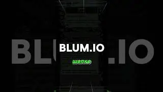 заработок в телеграме проект blum#криптовалюта #crypto #blum #криптоновости #крипта