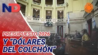 De qué se trata la Ley de INOCENCIA FISCAL que se debatirá en el Senado