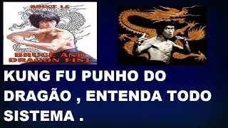 KUNG FU ESTILO  PUNHO DO DRAG&Atilde;O