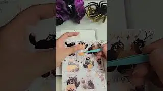 Black Cat Seance in my Hobonichi Weeks Planner #hobonichiweeks #plannerlayout #shorts #planner