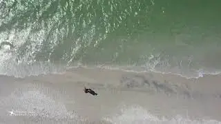 Female Walking On Beach - Stock Video Sample (No Audio)