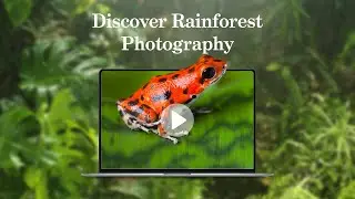 Discover Rainforest Photography with Nick Garbutt and Alex Hyde - 13 November 2024