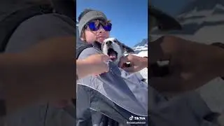 Lets Travel to Alaska
