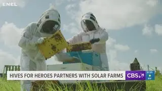 Creating a buzz: Hives for Heroes partners with solar farms in Texas