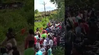 Buffalo Race in Maharashtra .Buffalo Bull