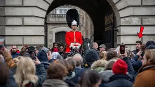 Tourist slaps horse across the face 3 times guard shouts step back gets police