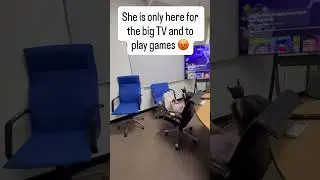POV: She&rsquo;s got me @L3I1A-v7t #funny #ShePlayedMe