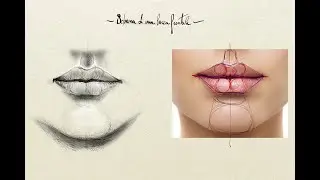 Disegnando una bocca frontale...
