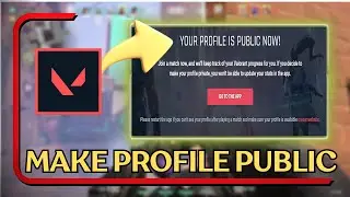 How to Make Profile Public on Valorant Tracker