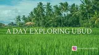 A Day Exploring Ubud Bali