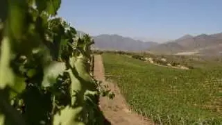 Vi&ntilde;a Casa Silva - Colchagua Valley - Chile