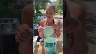 RV PAINTING--Let's Slap Some Color On Stuff