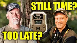 Summer Trail Cameras? Here&rsquo;s What 8 Deer Experts Say to Do Now