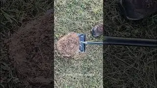 Cutting Invisible Plugs with Hercules Model 73 #diggingfortreasure #metaldetecting