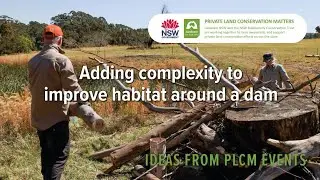 Adding Complexity to Improve Habitat Around a Dam