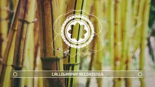 Windom R - Shaolin Funk [CALLI038]
