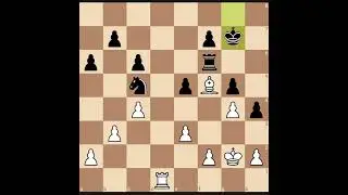 Sundaychesstv- Finnish chess player 1-0 #chess #covua #nguyenthehoan #quick #checkmate
