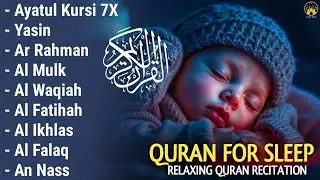Quran recitation in a peaceful voice I ayat al kursi, yasin, alkahfi, alwaqiah, arrahman, Alaa Aqel