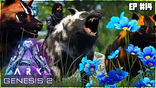 Taming Up An R-DIREWOLF PACK! These Wolves Are Stunning! [EP#14] [ARK: Genesis 2 DLC]