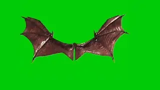Wings green screen effect green video vfx you पंख ग्रीन स्क्रीन वीडियो free green screen video vfx