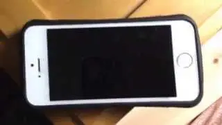 Direct tv customer service wrong number calls. Pranks Some mad some sad